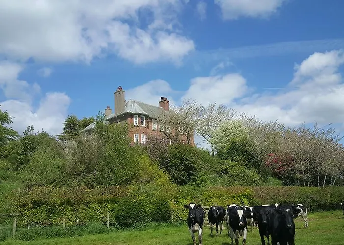 Clift Hill * Carlisle (Cumbria)